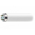 Лампа 20W (для WE-200-2S)