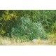 Маскировочные сети КРОНА-18»  