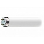 Лампа 10W (для WE-100-2)